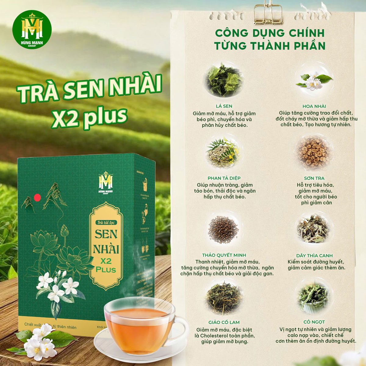 Trà Sen Nhài X2 PLUS