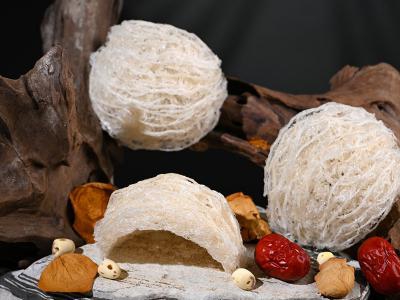 Album Ảnh Sản Phẩm Yến Thô